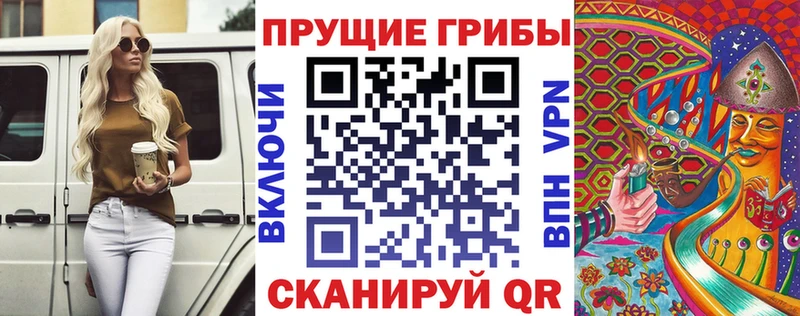 гидра зеркало  Советск  Галлюциногенные грибы мицелий  хочу наркоту 