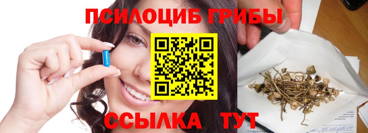 Псилоцибиновые грибы Cubensis Советск